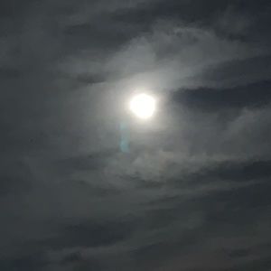 Meet your Posher, Jane